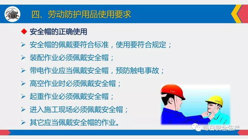 劳动防护用品使用 佩戴标准 维护管理 配置标准,全员必看
