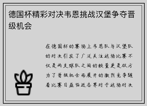 德国杯精彩对决韦恩挑战汉堡争夺晋级机会