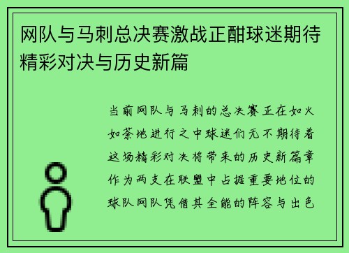 网队与马刺总决赛激战正酣球迷期待精彩对决与历史新篇