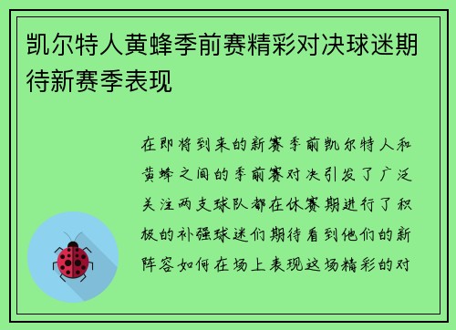 凯尔特人黄蜂季前赛精彩对决球迷期待新赛季表现
